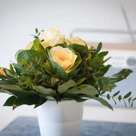 Eifeltraum Magma * Berlingen